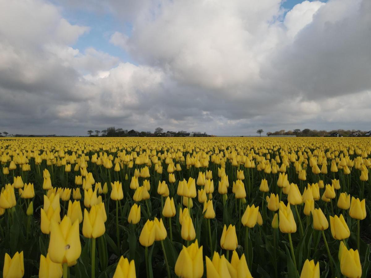 Camping De Tulpenweide Lege Kampeerplaats, Lege Plaats Op Het Gras Zonder Bed Breezand Zewnętrze zdjęcie