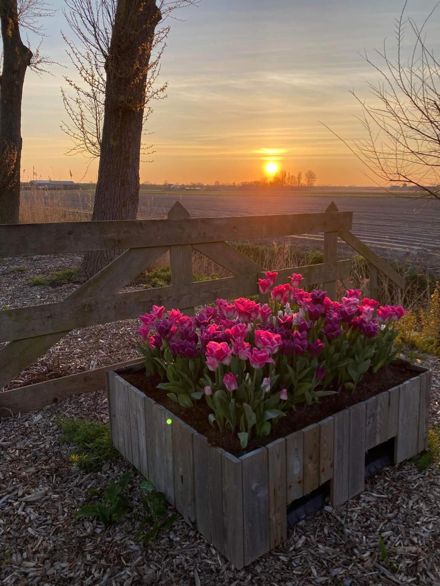 Camping De Tulpenweide Lege Kampeerplaats, Lege Plaats Op Het Gras Zonder Bed Breezand Zewnętrze zdjęcie