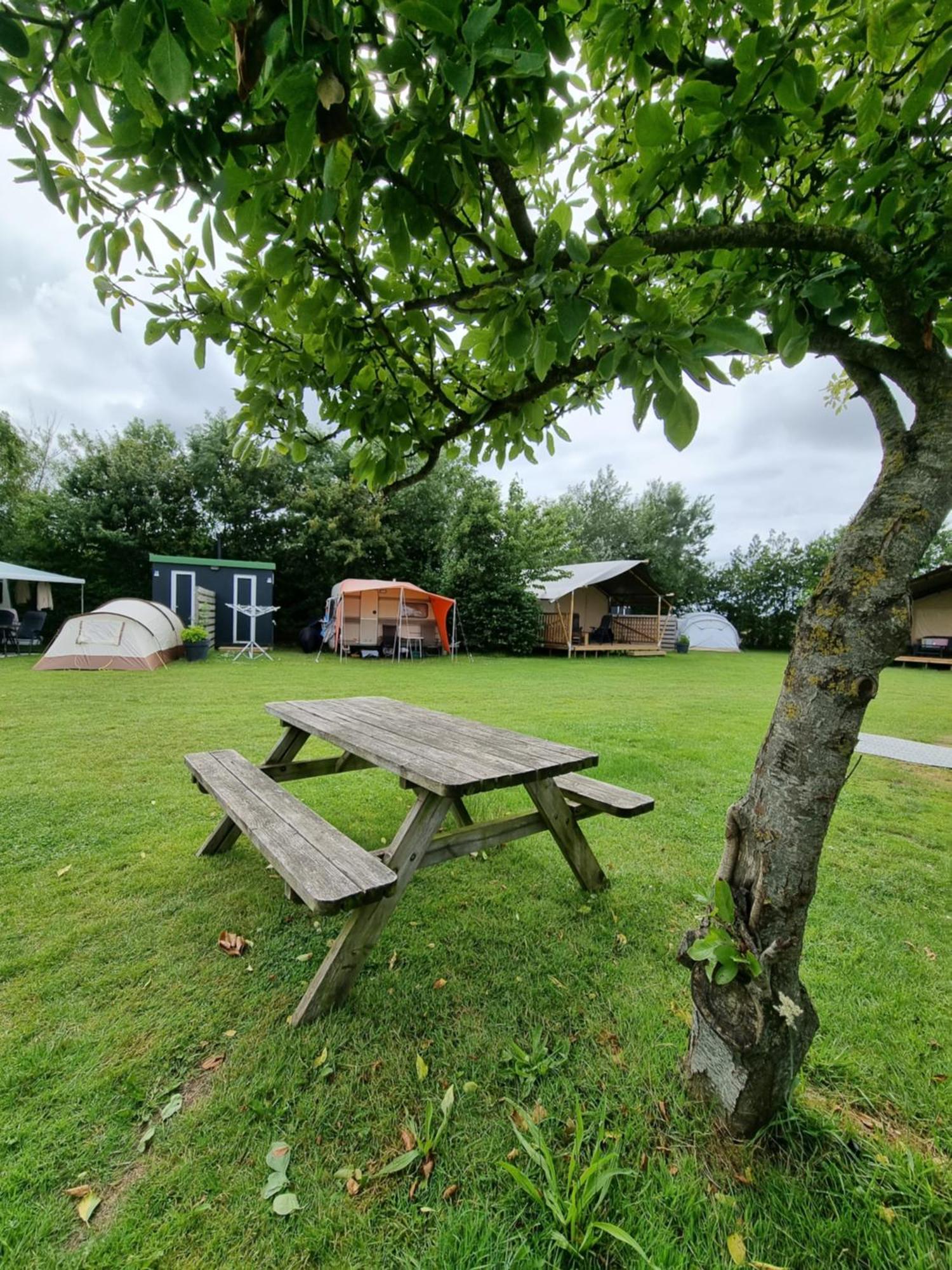 Camping De Tulpenweide Lege Kampeerplaats, Lege Plaats Op Het Gras Zonder Bed Breezand Zewnętrze zdjęcie
