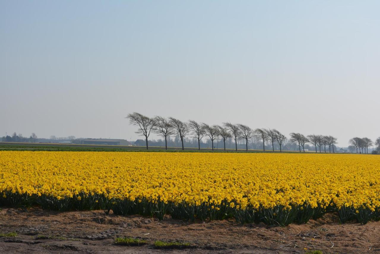 Camping De Tulpenweide Lege Kampeerplaats, Lege Plaats Op Het Gras Zonder Bed Breezand Zewnętrze zdjęcie