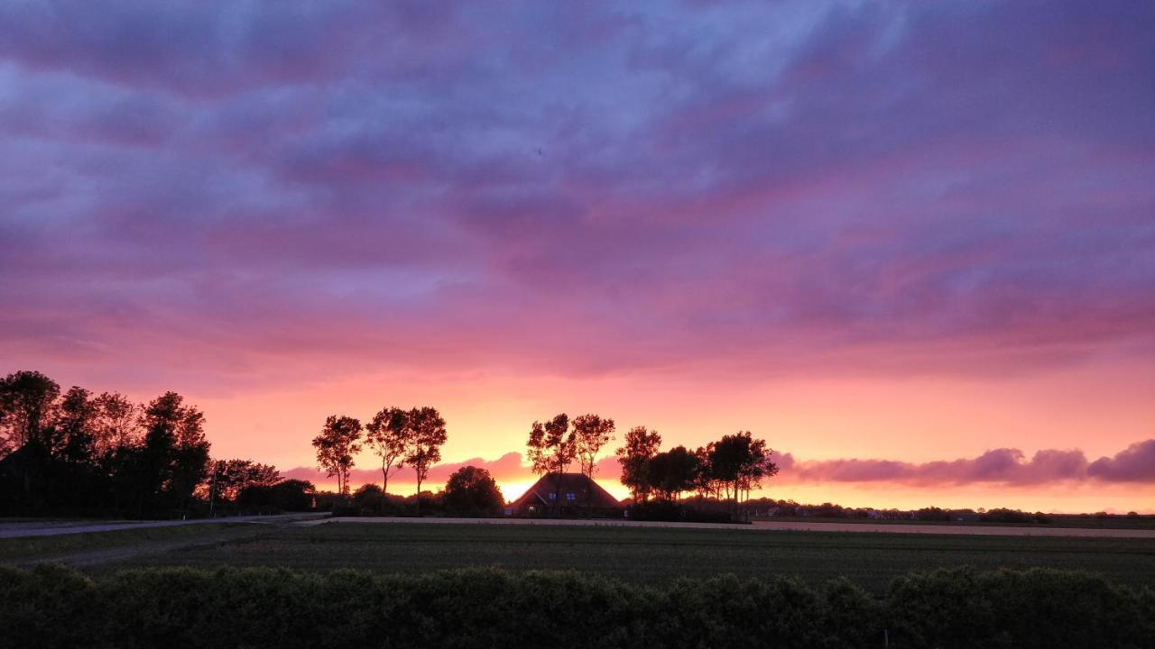Camping De Tulpenweide Lege Kampeerplaats, Lege Plaats Op Het Gras Zonder Bed Breezand Zewnętrze zdjęcie